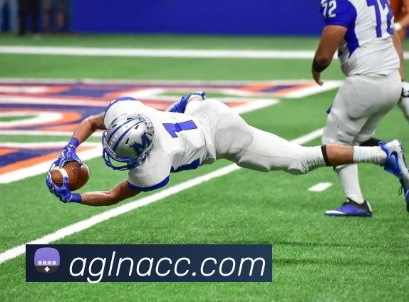 ag百家乐平台生态图